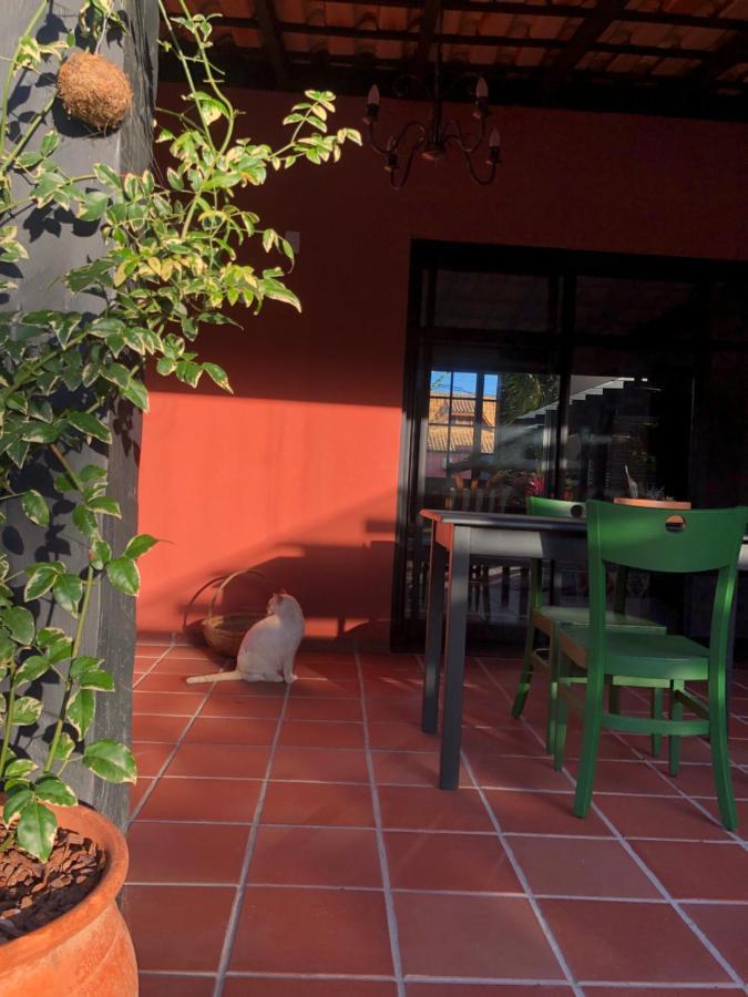 Janela De Marcia Bed And Breakfast Florianópolis Eksteriør bilde